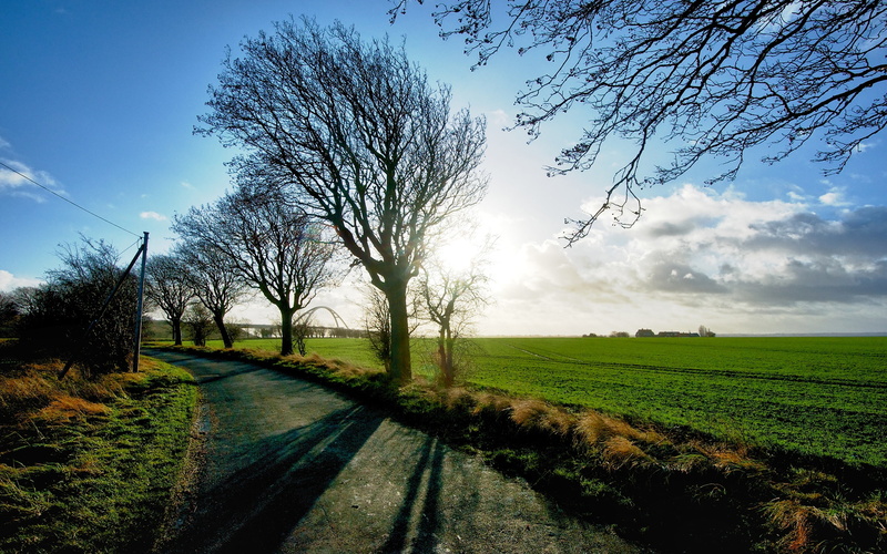 2K, Fields, Farm, Trees, Footpath, Landscape, Blue