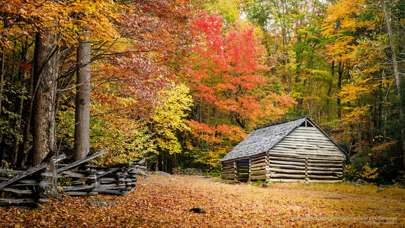 park, smoky, tennessee, foliage, 2K, great, Fall, national, mountain
