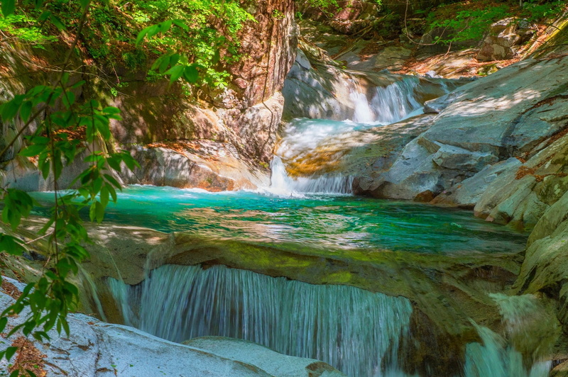 flowing water, plant, long exposure, 1080P, water, waterfall, forest, foliage, land, tree, rainforest, motion, flowing, no people, power in nature, rock