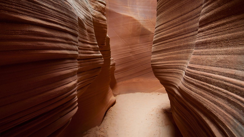 sandstone, 1080P, canyon, nature and landscapes, narrow, walls, antelope