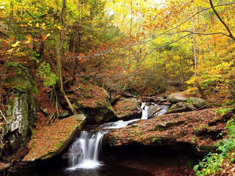 4K, forests, nature, waterfalls, autumn, foliage