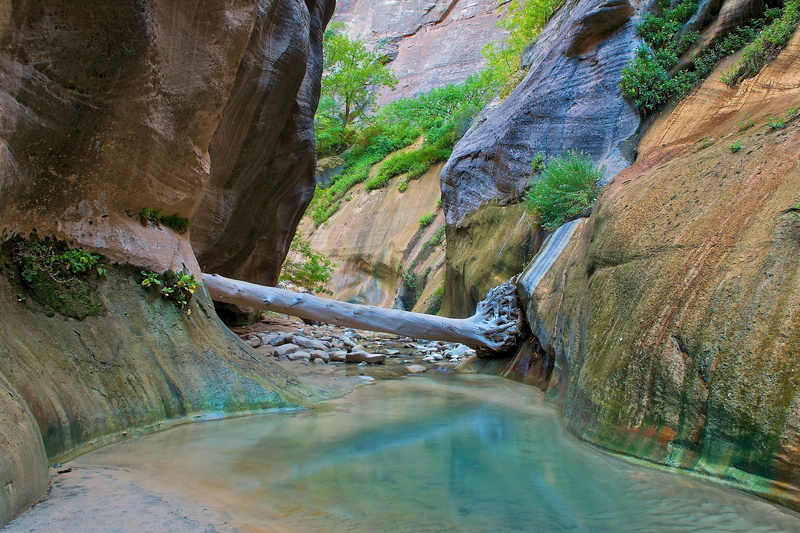 Zion National Park, rock, rock formation, waterfall, tree, flowing, day, mountain, nature, no people, tranquil scene, scenics - nature, 1080P, outdoors