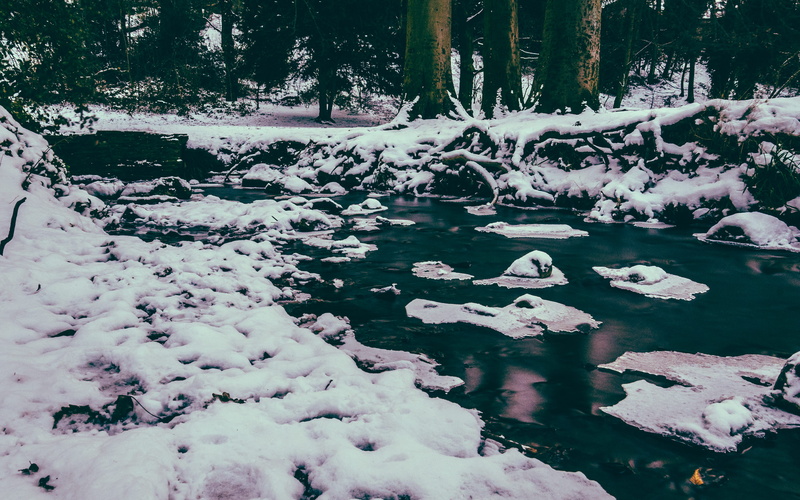 winter, snow, sheffield, cold temperature, tree, plant, ixe, tranquility, cold, day, scenics - nature, flowing water, forest, weather, roots, outdoors