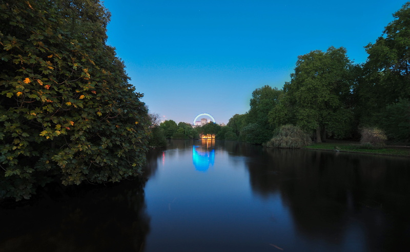4K, london eye, lake, green, water, england, lights, scenics - nature, sky, outdoors, night, waterfront, tree, uk, tranquil scene, green color, reflection