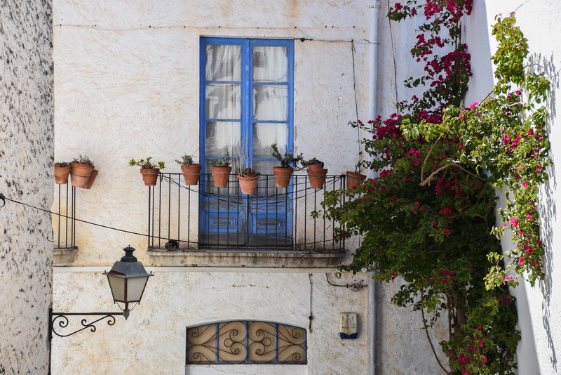 no people, building, plant, day, cadaqués, outdoors, flowering plant, built structure, wall - building feature, costa brava, nature, wall, flower, house
