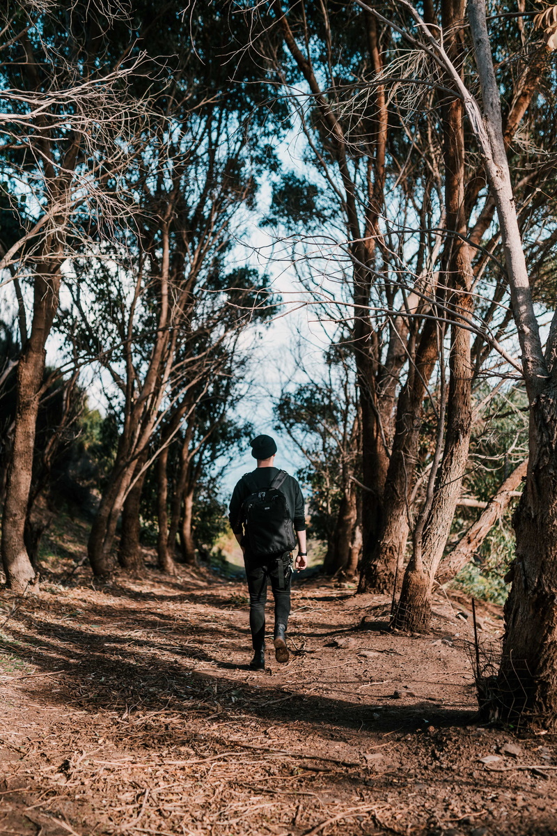 land, one person, human, man, gravel, leisure activity, rear view, forest path, growth, forest, plant, trees, 5K, tree trunk, nature, backpack, forest road