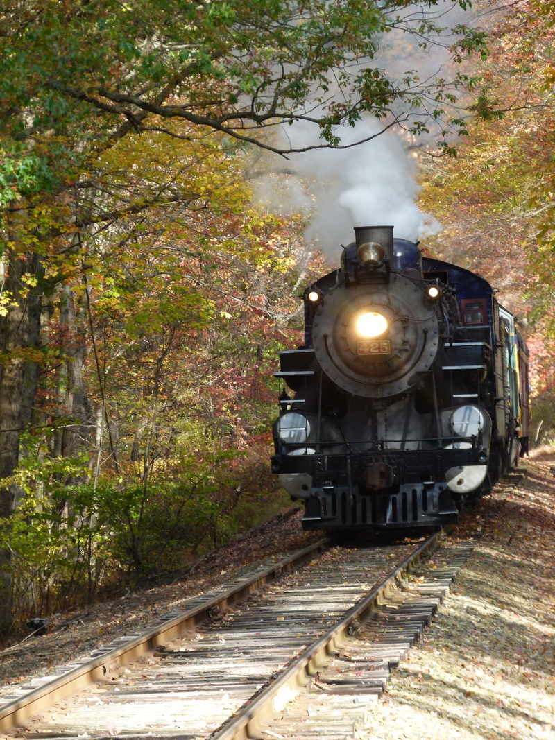 travel, engine, nature, mode of Transport, track, history, classic, smoke - physical structure, train - vehicle, Locomotive, Steam Train, old-fashioned