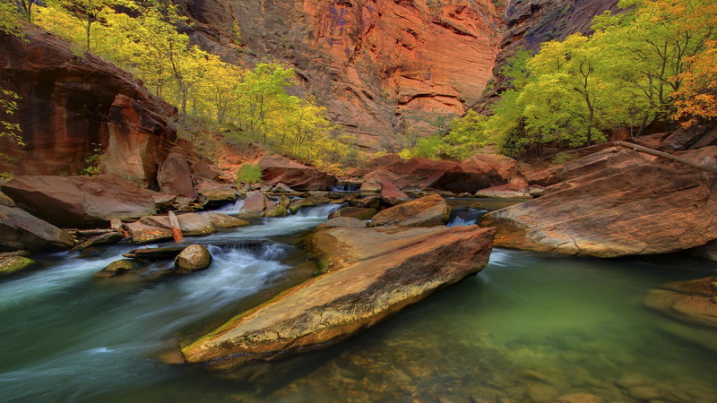 trees, stream, nature and landscapes, national, park, rocks, 1080P, zion, canyon