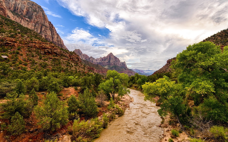 Trees, USA, River, 1080P, Zion, Park, National, Mountains