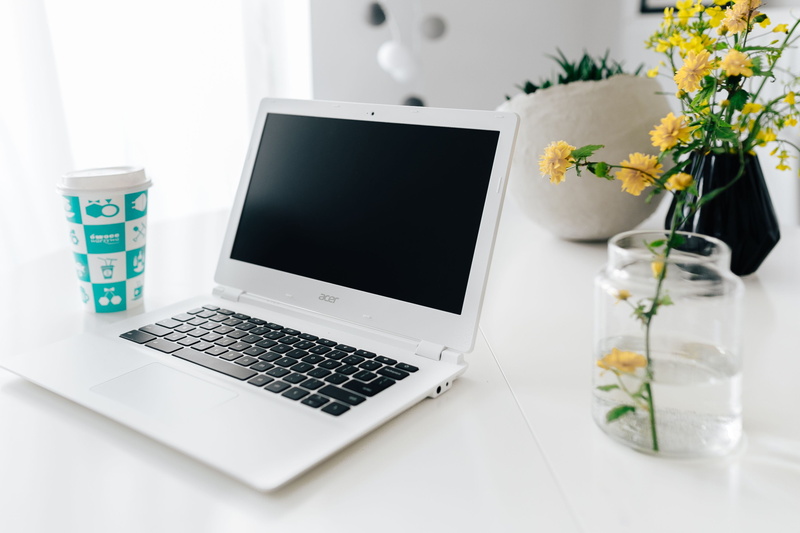 white laptop, no people, technology, table, interior, home office, connection, scandi, flower, home, office, minimalism, flowering plant, work, scandinavian