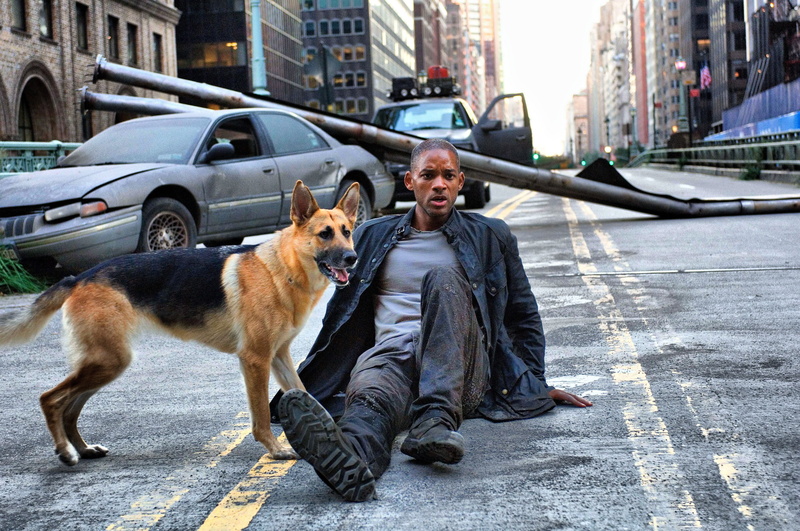 movies, will, hd, smith, x, people, actors, 4K, dogs, art, legend
