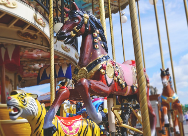 outdoors, festival, focus on foreground, animal wildlife, colorful, fair, arts culture and entertainment, domestic animals, animal representation, funny