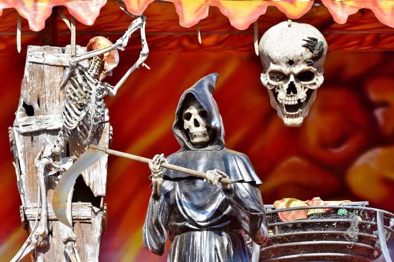 horror train, fair, architecture, year market, fear, oktoberfest, head, weird, the past, close-up, ghost train, ride, skeleton, male likeness, shudder