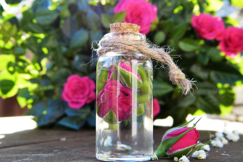 skin, bless you, flower, pink color, beauty, leaf, beauty in nature, alternative, cosmetics, jar, homeopathy, bio, vulnerability, glass, flowering plant