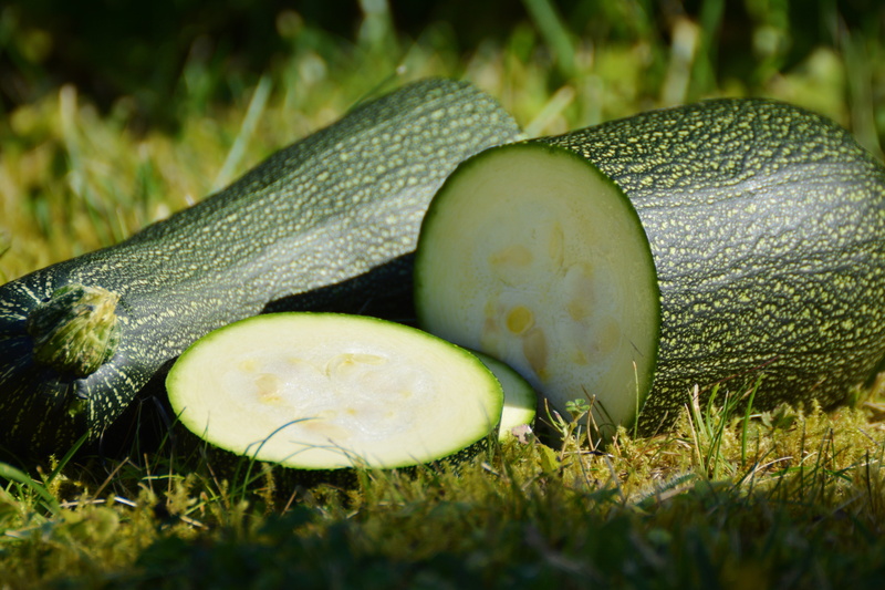 outdoors, close-up, food, 5K, green, bio, zucchini, fruit, day, cucumber, plant, pumpkin, sunlight, healthy eating, slice, vegetarian, vegetables, sliced