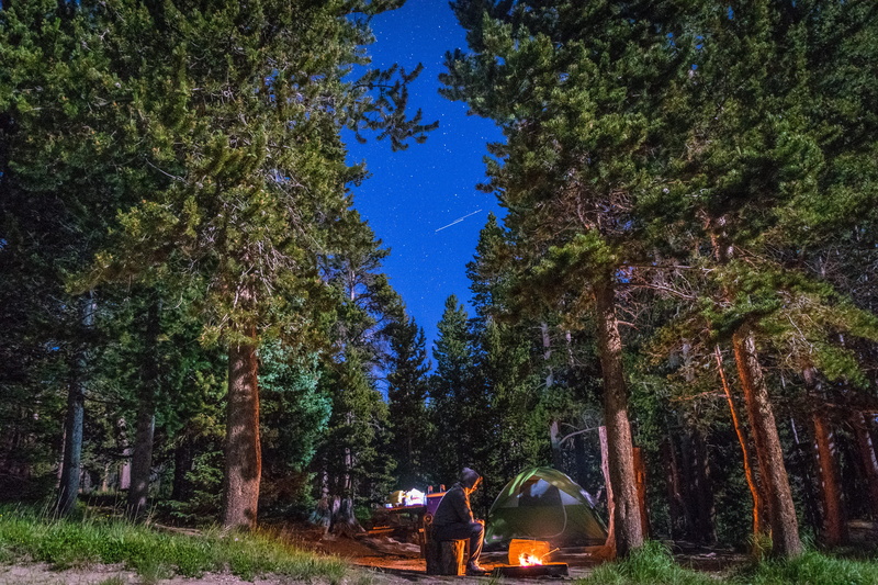 bonfire, rear view, togetherness, two people, people, camping, tent, real people, men, tree, nature, transportation, leisure activity, man, day, person