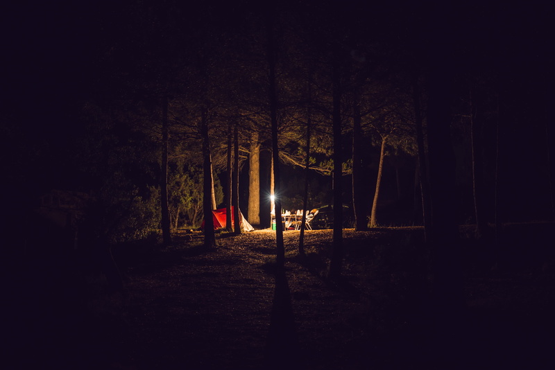forest, sunset, tree, adventure, spooky, summer, night, eerie, camping, illuminated, dark, mountain, sunlight, light, outdoors, time, campsite, horror