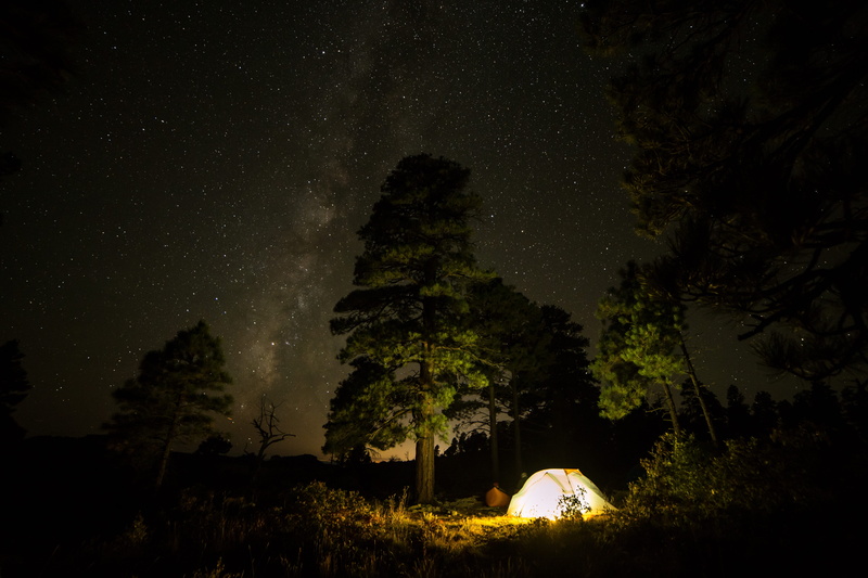 land, zion, beside, star, nature, tranquil scene, milky way, tent, plant, space, camping, forest, white, night, scenics - nature, tree, no people, glow