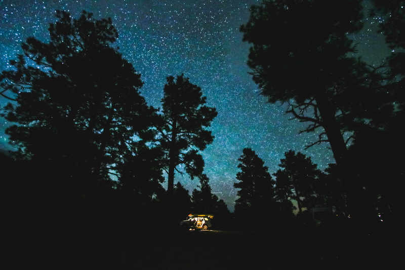 dark, illuminated, nighttime, tranquility, night, night time, outdoors, 5K, green, growth, night sky, low, nature, photo, silhouette, tree, star, land