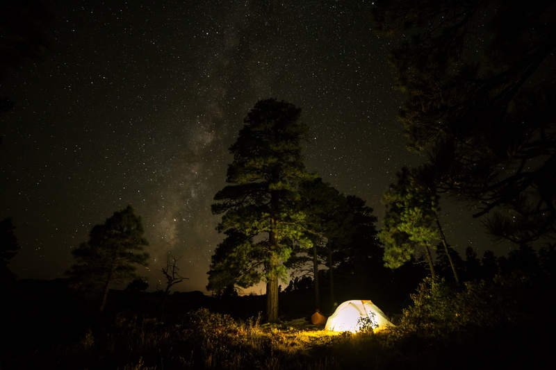 star - space, plant, land, light, nighttime, adventure, tree, woods, tranquility, grass, no people, illuminated, beauty in nature, space, camping, stars