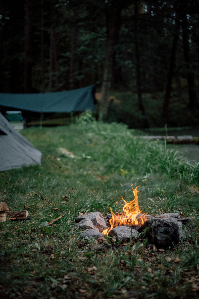 5K, vacations, fire, burning, heat - Temperature, campfire, summer, relaxation, grass, autumn, flame, outdoor, small, forest, woodland, hiking, rock, red