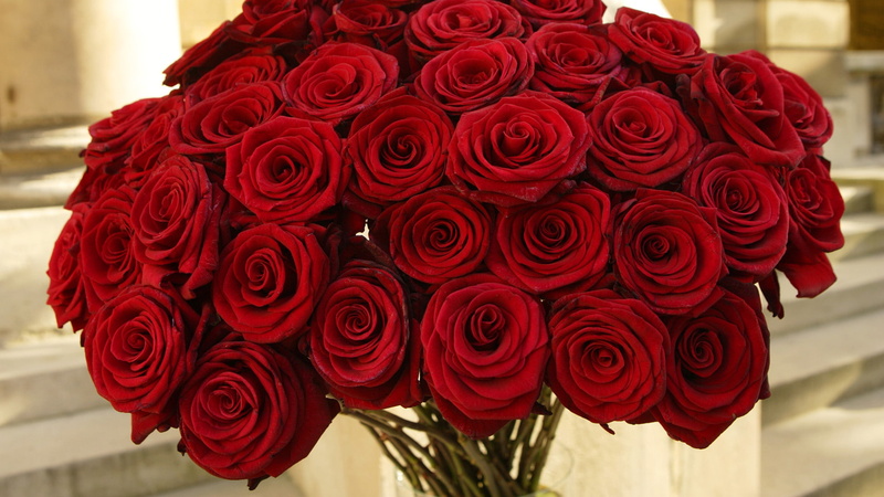 roses, 1080P, red, beautiful, flowers, bouquet