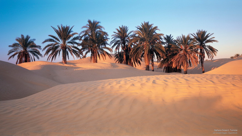 tunisia, desert, sahara, 2K, Africa