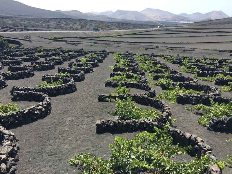 environment, tranquil scene, outdoors, winery, high angle view, spain, canary islands, mountain, island, tranquility, scenics - nature, stone, vineyard