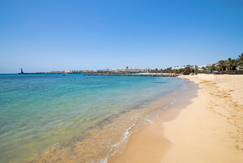 outdoors, travel destinations, sea, scenics, sunny, land, palm trees, booked, sand, canary islands, scenics - nature, day, coast, africa, beauty in nature