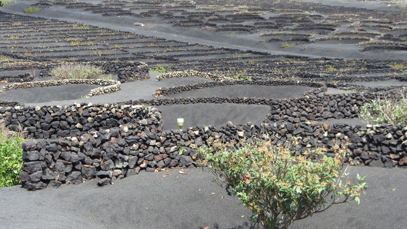 tranquility, outdoors, sunlight, lanzarote, road, high angle view, solid, growth, nature, tranquil scene, day, holidays, land, gravel, the devil, rock