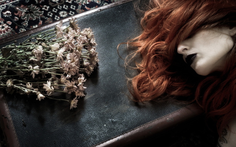 brown hair, hairstyle, close-up, nature, high angle view, portrait, plant, one person, dead, indoors, 1080P, flowers, human hair, headshot, contemplation
