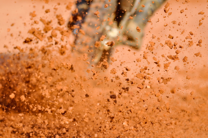powerfull, animals in the wild, championship, competition, offroad, selective focus, large group of animals, wet, wheel, quadbike, bikes, sunset, sport