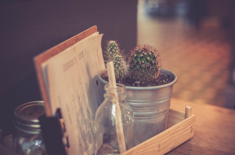 photography, nature, white, vial, glass, close-up, plant, wood, glass bottle, clear, no people, pot, close, herbal medicine, food and drink, bottle, cactus