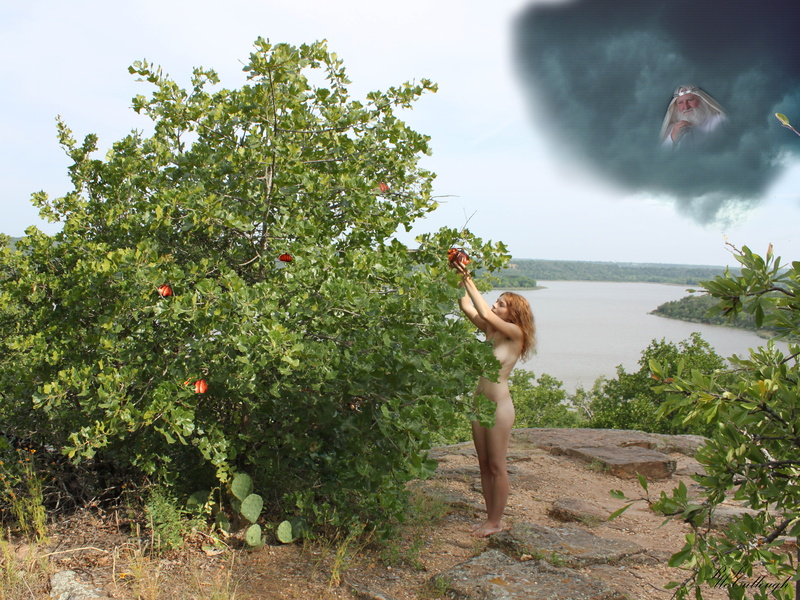 tree, real people, clothing, adam and eve, full length, lifestyles, growth, young women, genesis, adult, biblical, one person, religion, eden, green color