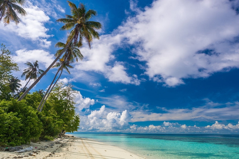beach, sand, summer, Eden, 720P, Palm Trees, landscape, tropical, Malaysia, photography, nature, clouds, white, island, sea