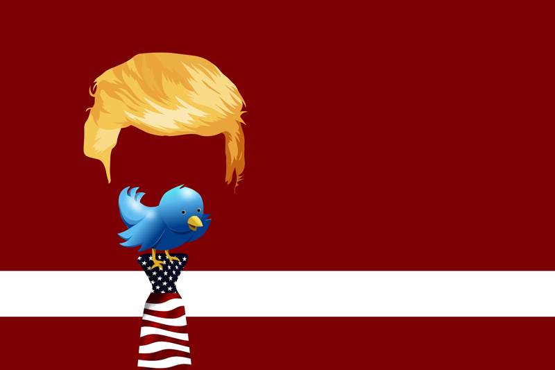 studio shot, striped, silhouette, emotion, standing, cut out, nature, indoors, colored background, donald trump 4k hd pc   download, representation, creativity