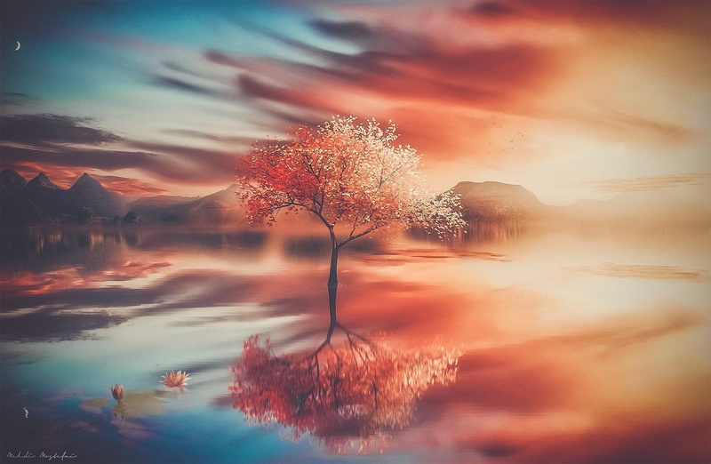 sunset, 500px, fantasy art, non-urban scene, cloud - sky, tranquility, no people, body, tree, nature, autumn, water, Mehdi Mostefaï, plant, environment
