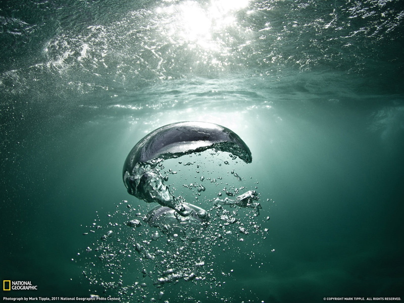 bubble, swimming, purity, day, outdoors, nature, no people, sunbeam, water, 720P, sea, undersea, bubbles, close-up, splashing, sunlight, beauty in nature