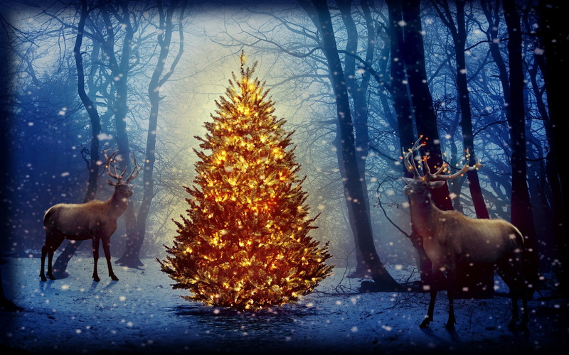 poster, new, christmas, 720P, snow, year, forest, reindeer, garlands, trees, new year, deer, tree
