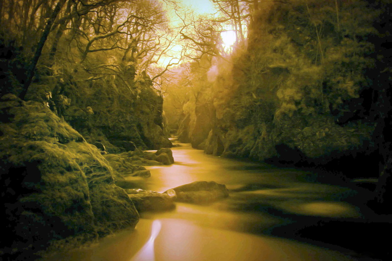 land, effekt, sunlight, non-urban scene, sun, foliage, tranquility, lush foliage, beauty in nature, river, outdoors, infrared, wood, ir, forest, tranquil scene