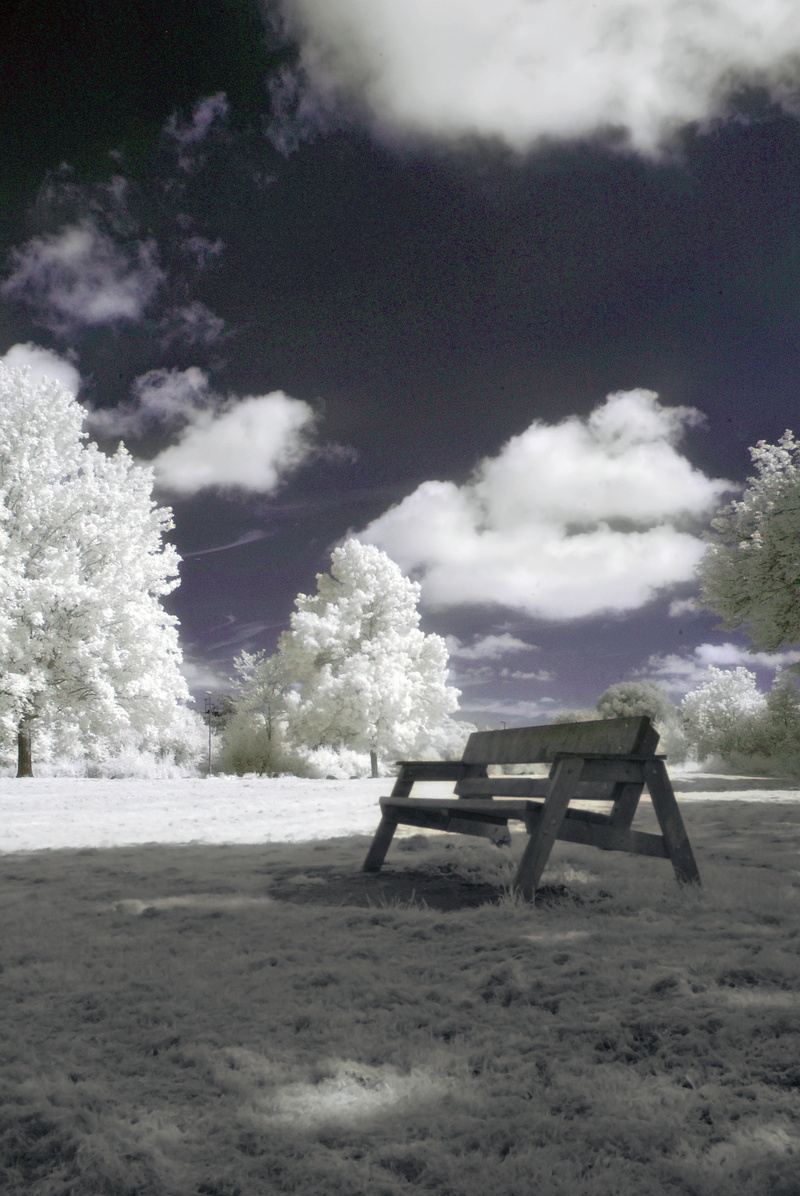 tranquil scene, bench, outdoors, absence, nature, table, trees, wood - material, sky, filtered, ghw, no people, land, infrared, park, empty, landscape
