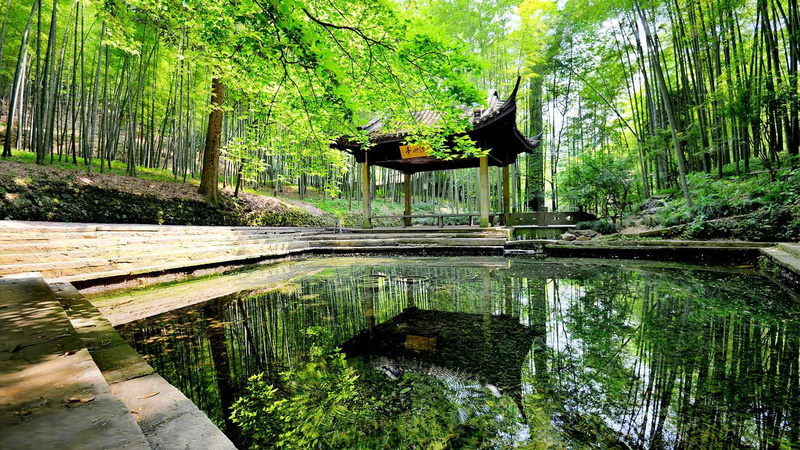 summer, pond, wood - Material, nature, building, Asian architecture, trees, hut, woodland, black, non-urban scene, beauty In Nature, green Color, tranquil Scene