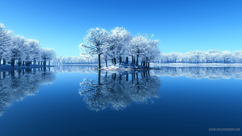 desktop, earth, white, winter, winter lake, hd, nature view, water, forest, white forest, lake, view, water reflection, 1080P, reflection, nature