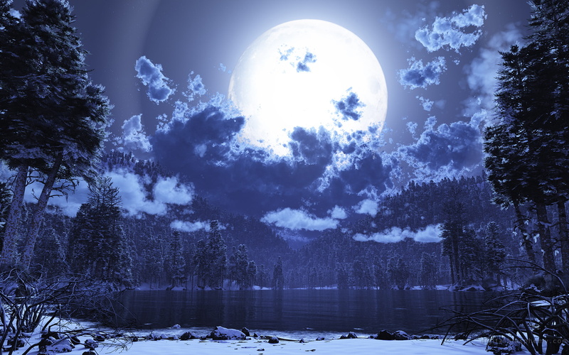 trees, purple, full, forest, moon, clouds, hd, lake, top, 1080P, pond, nature, black, leaved