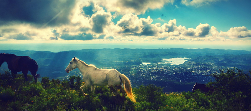 summer, outdoors, grass, HORSE, mountain, sky, 4K, grass land, landscape, CABALLO, meadow, land, farm, horses, EN, EXPLORE, pasture, nature, rural Scene