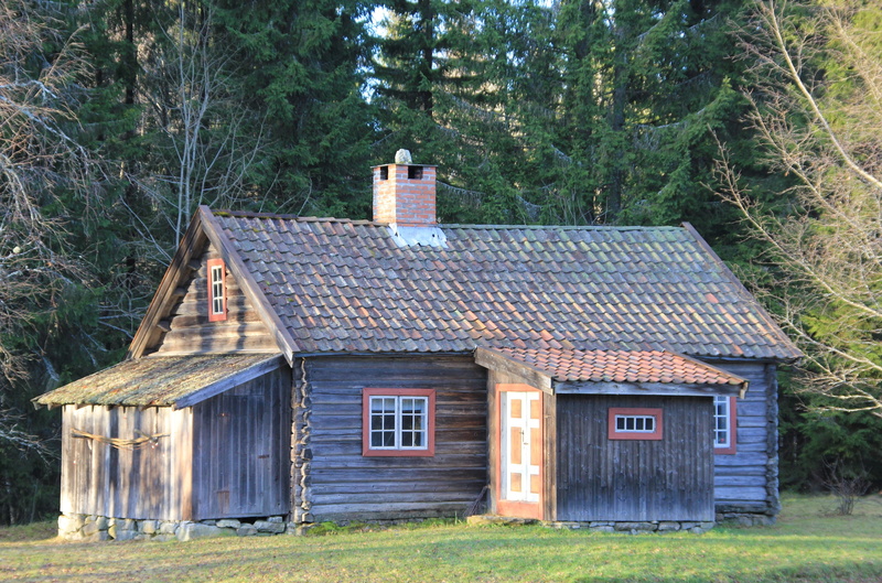 grass, Woods, plant, home, rustic, abandoned, rural, brown, wood - Material, spring, nature, outside, cottage, architecture, day, log, land, rural Scene