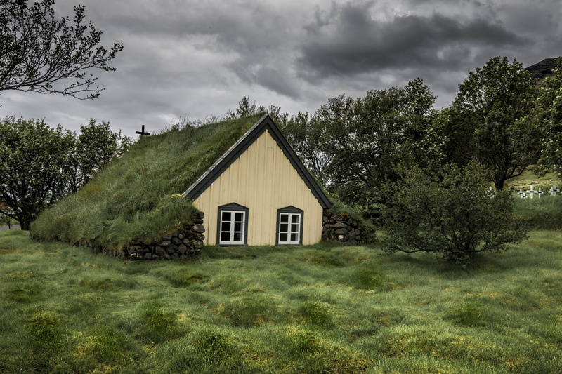 green color, tree, plant, covered, surrounded, environment, building, residential district, built structure, green, land, iceland, beauty in nature, house