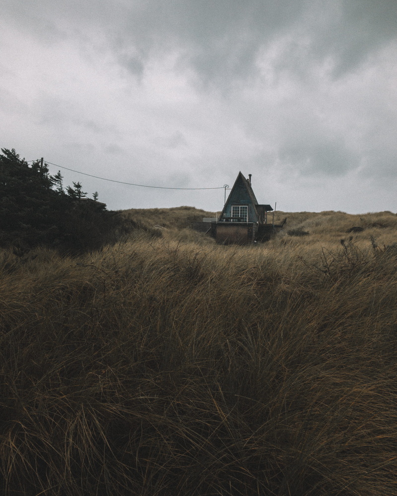 grass, house, landscape, field, blue, center, environment, cloudy, growth, residential district, grasses, no People, plant, building exterior, outdoors
