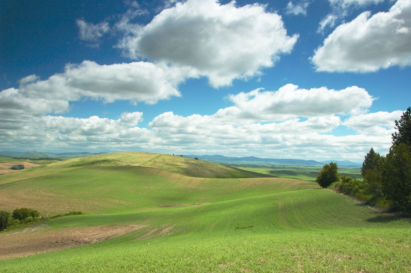 top, blue, rural, palouse, summer, outdoors, rural Scene, steptoe butte, hill, field, nikkor, sky, photo, f/3.5, BRAVO, landscaped, tuscany, scenics, VR