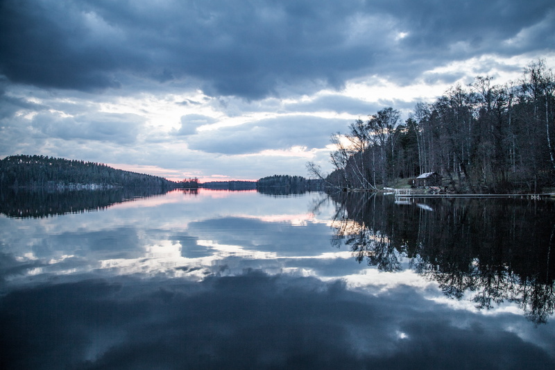 forest, sky, scene, environment, scenics - nature, nobody, sun, 5K, withered, tranquil scene, travel, calm, reflection, dusk, cloud, blue, idyllic, trees